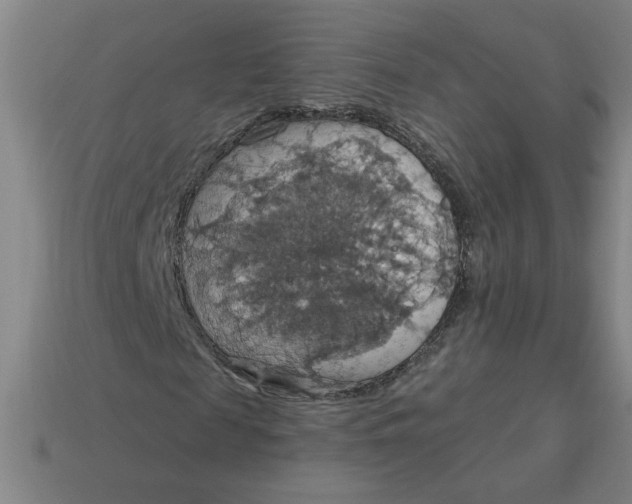 X0000114420817200911061620