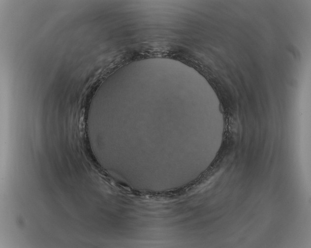 X0000114420818200911061620