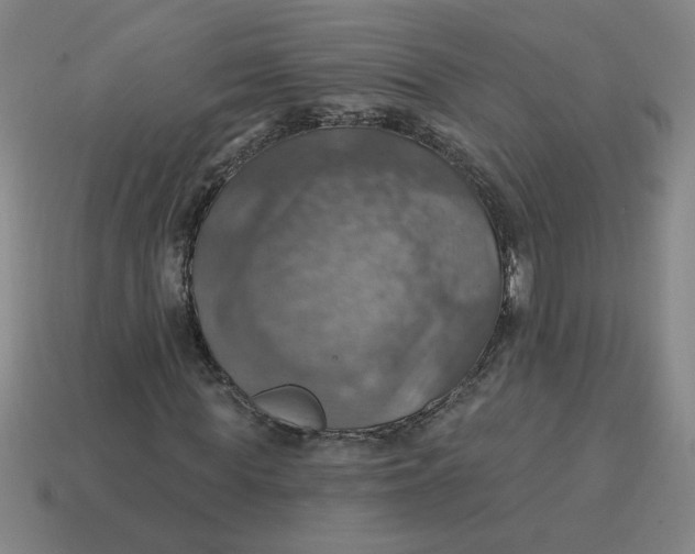 X0000114420819200911061620