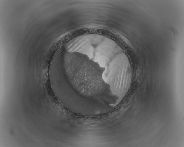 X0000114420821200911061620
