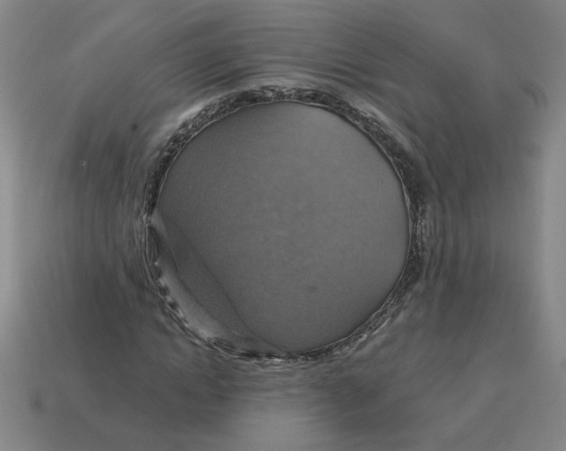 X0000114420822200911061620