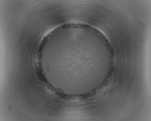 X0000114420823200911061621