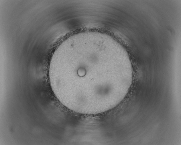 X0000114420824200911061621
