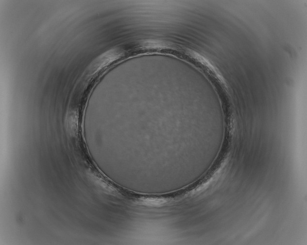 X0000114420825200911061621