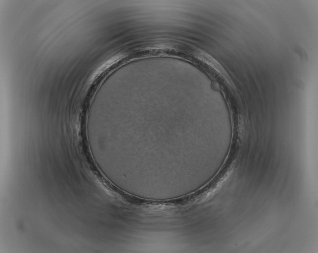 X0000114420826200911061621