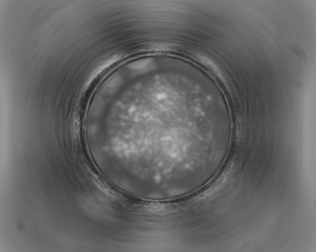 X0000114420827200911061621