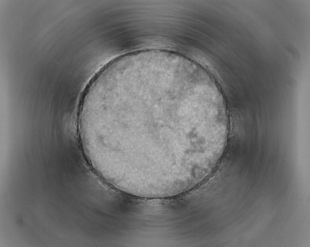 X0000114420828200911061621
