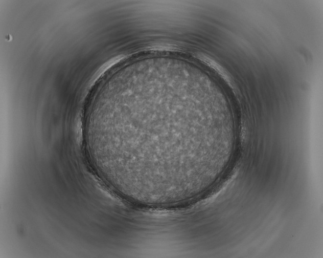 X0000114420829200911061621