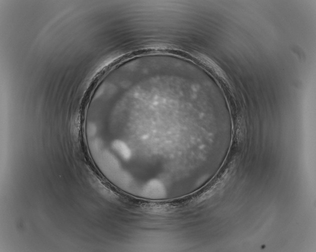 X0000114420831200911061621