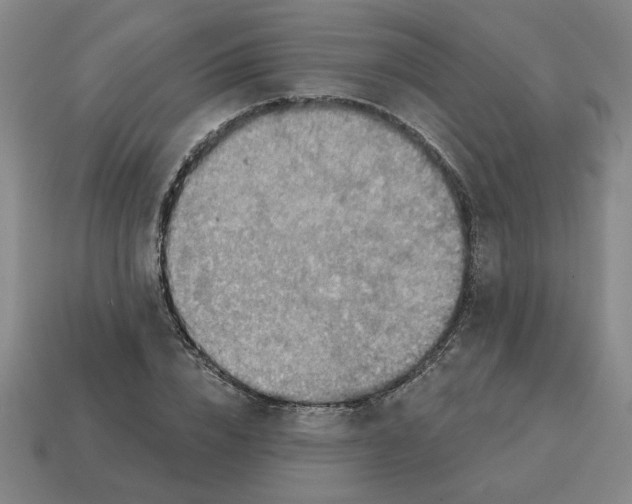X0000114420832200911061621