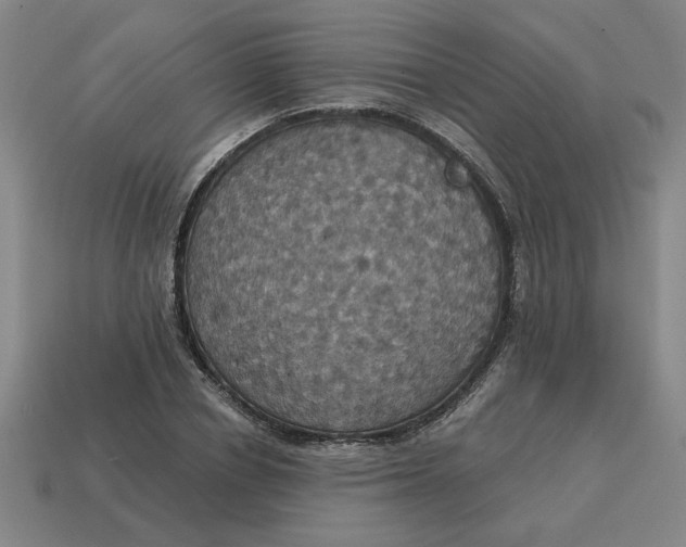 X0000114420834200911061621