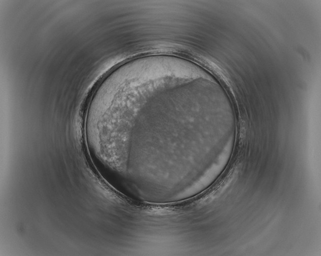 X0000114420835200911061621