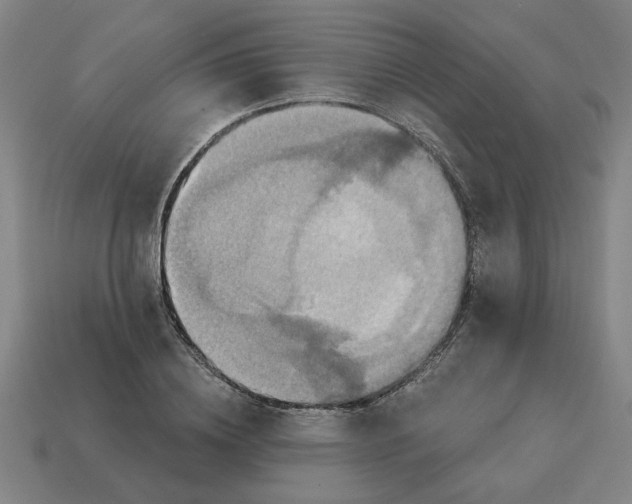 X0000114420836200911061621