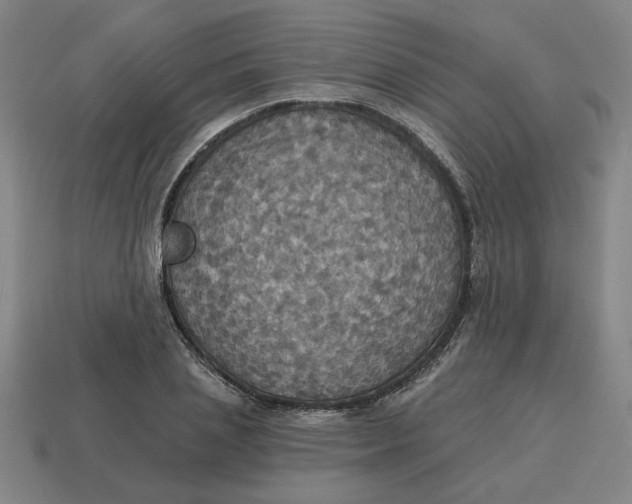 X0000114420837200911061621