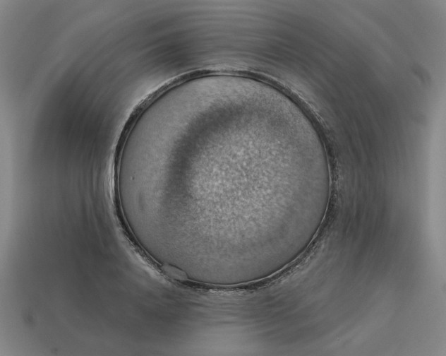 X0000114420840200911061621