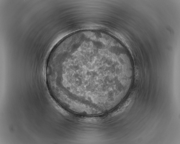 X0000114420843200911061621