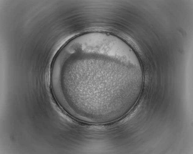 X0000114420844200911061621
