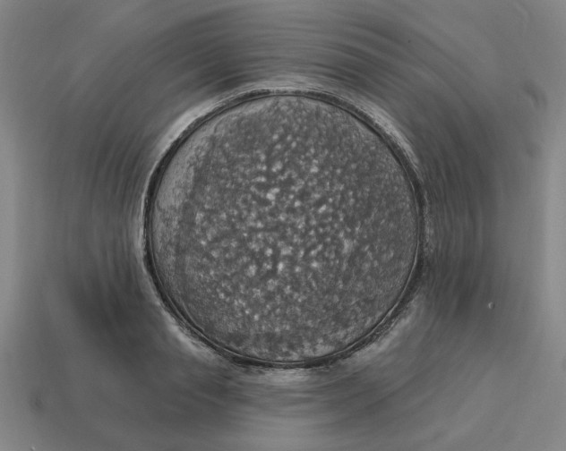 X0000114420845200911061621