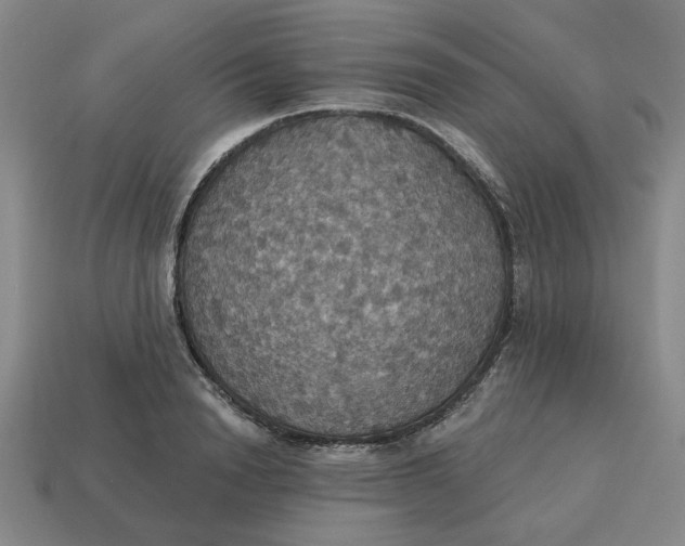 X0000114420846200911061621