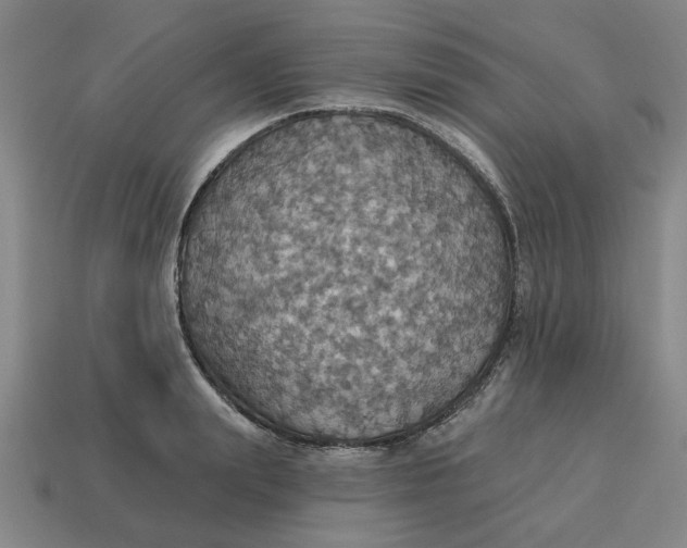 X0000114420847200911061621