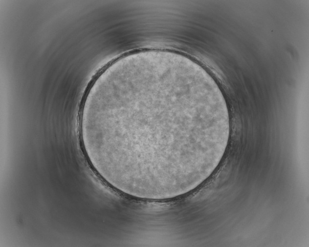 X0000114420848200911061621