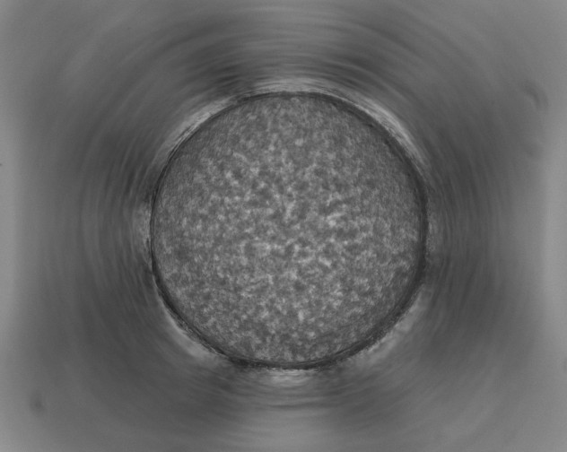 X0000114420849200911061621