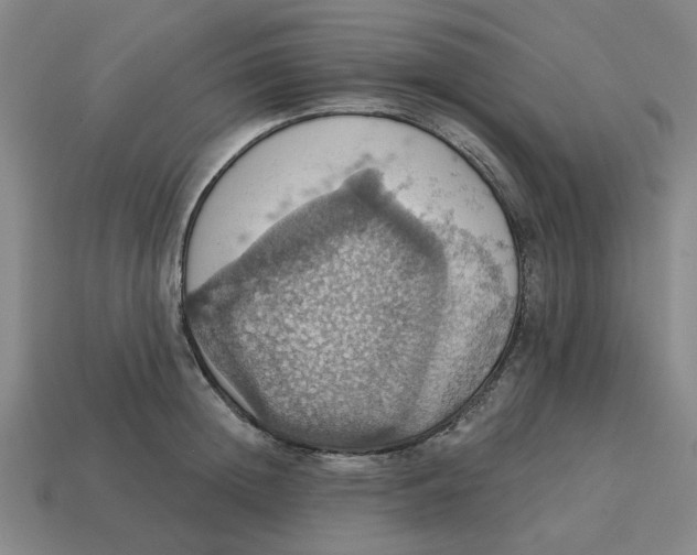 X0000114420852200911061621