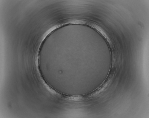 X0000114420853200911061621