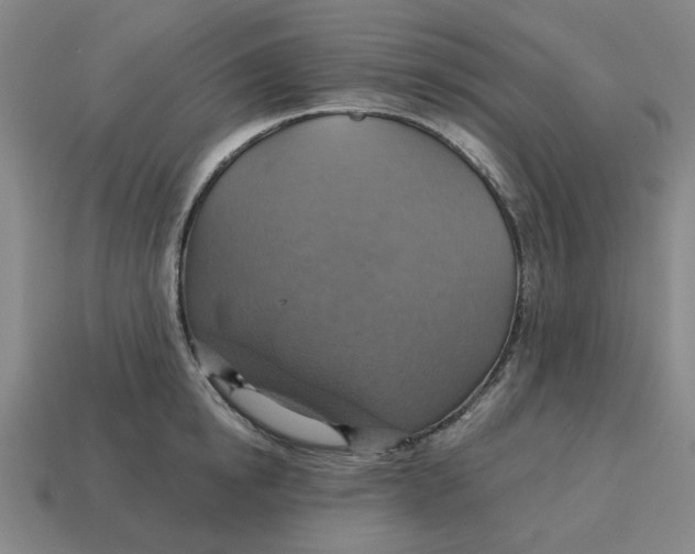 X0000114420854200911061621
