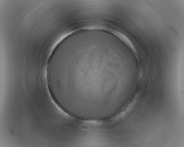 X0000114420855200911061621
