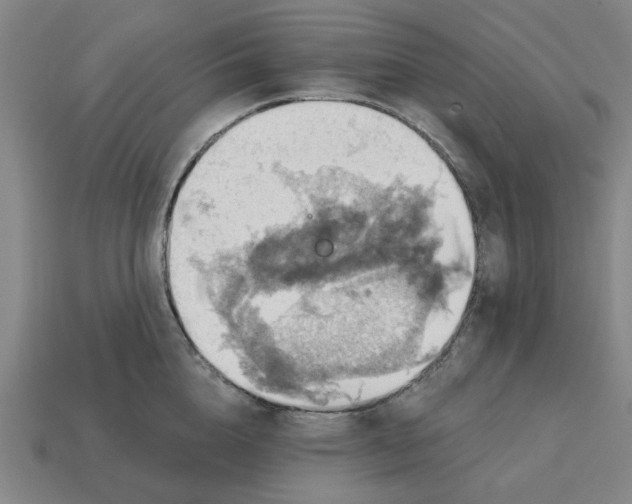 X0000114420856200911061621