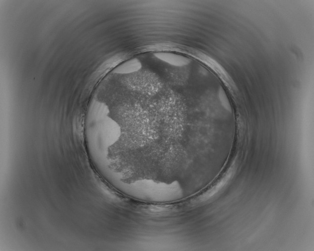 X0000114420857200911061621