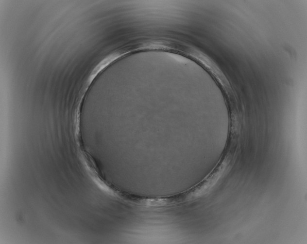 X0000114420858200911061621