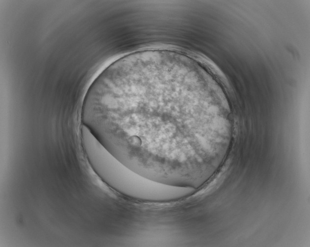 X0000114420860200911061621