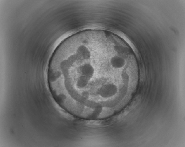 X0000114420861200911061621