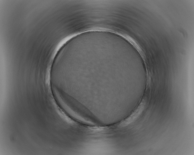 X0000114420862200911061621