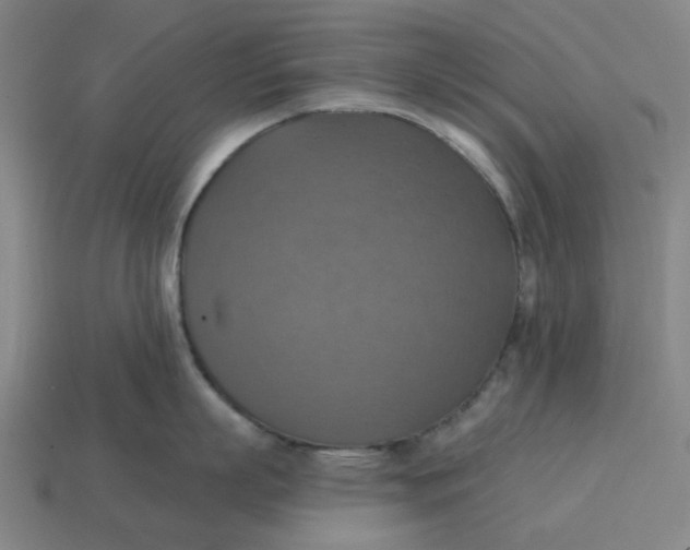 X0000114420863200911061621