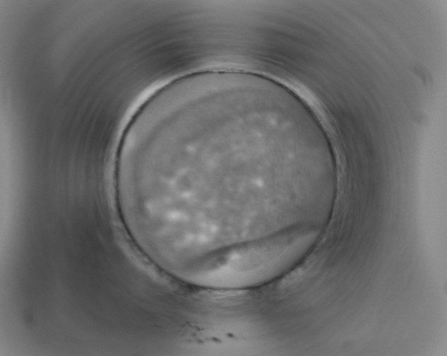 X0000114420864200911061621