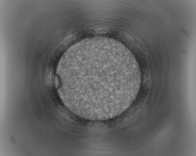 X0000114420866200911061620