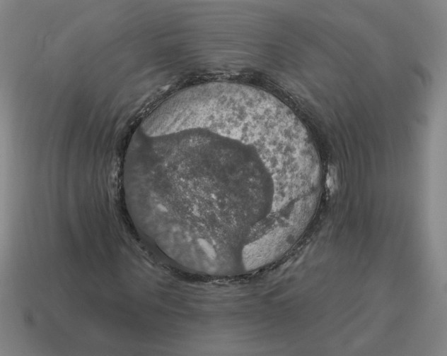 X0000114420867200911061620