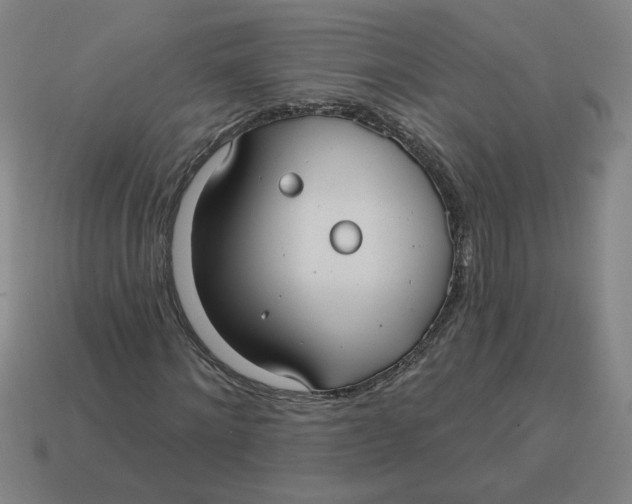 X0000114420868200911061620