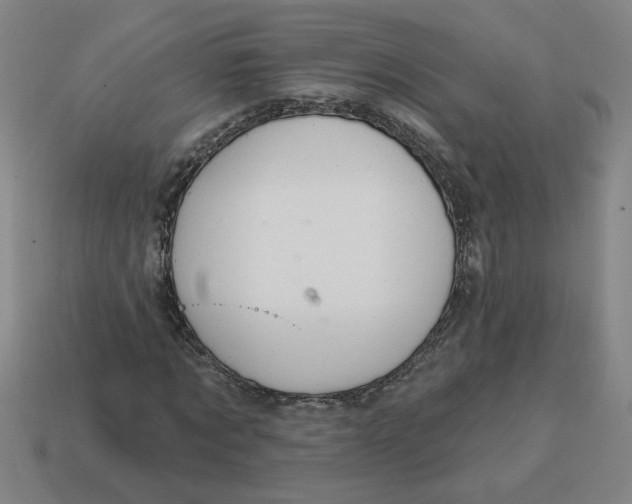 X0000114420869200911061620