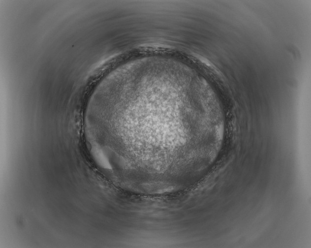 X0000114420870200911061620