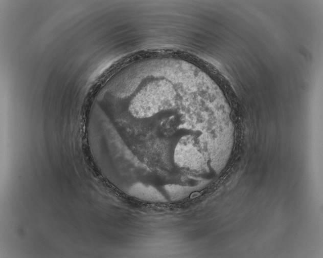 X0000114420871200911061620