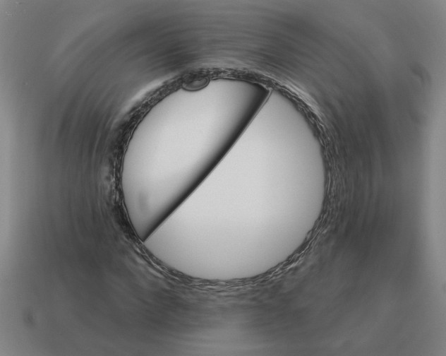 X0000114420872200911061620
