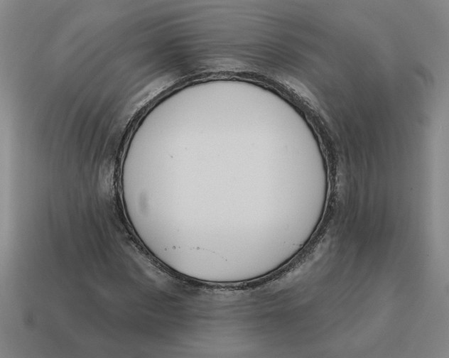 X0000114420873200911061620