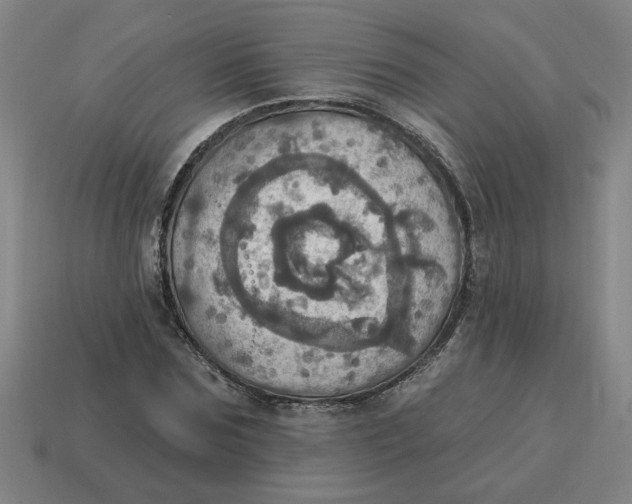 X0000114420875200911061620