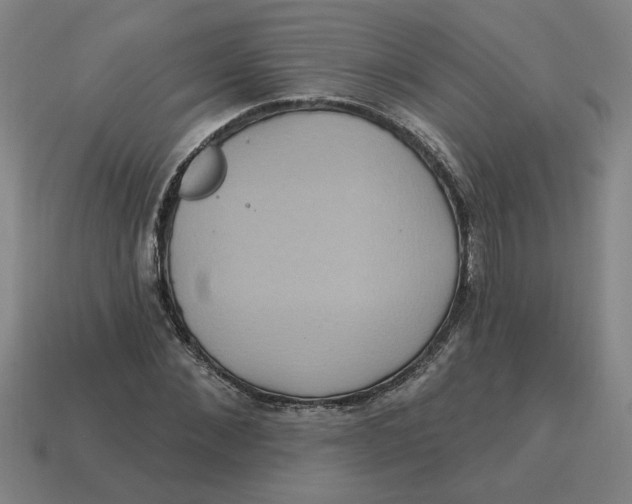 X0000114420876200911061620