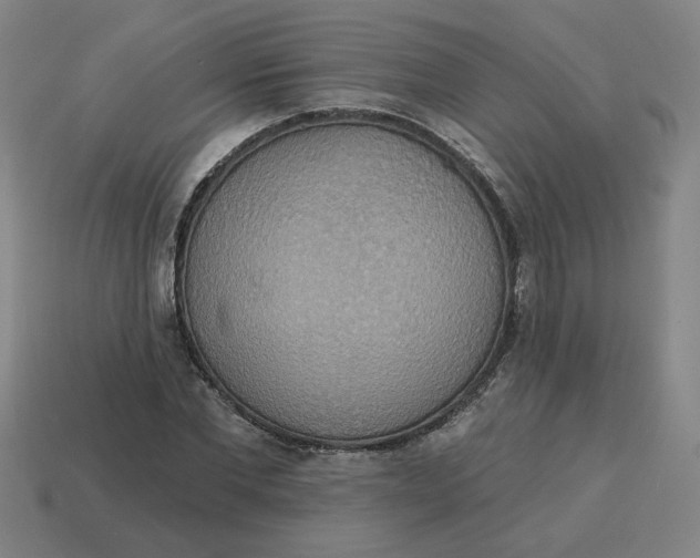X0000114420877200911061620