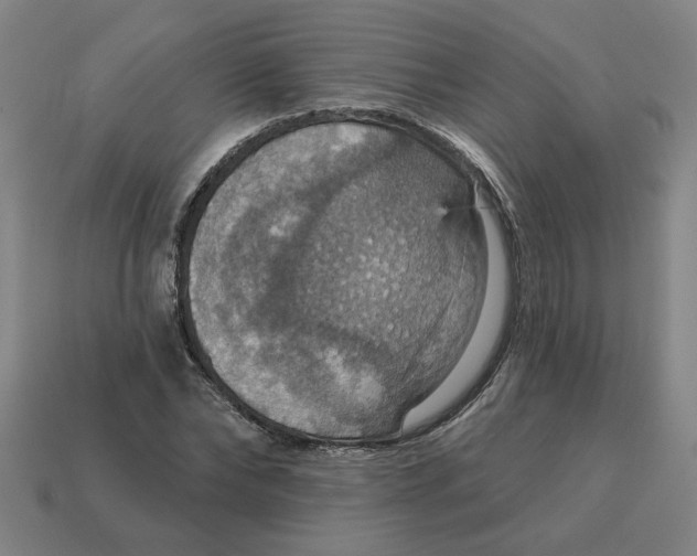 X0000114420878200911061620